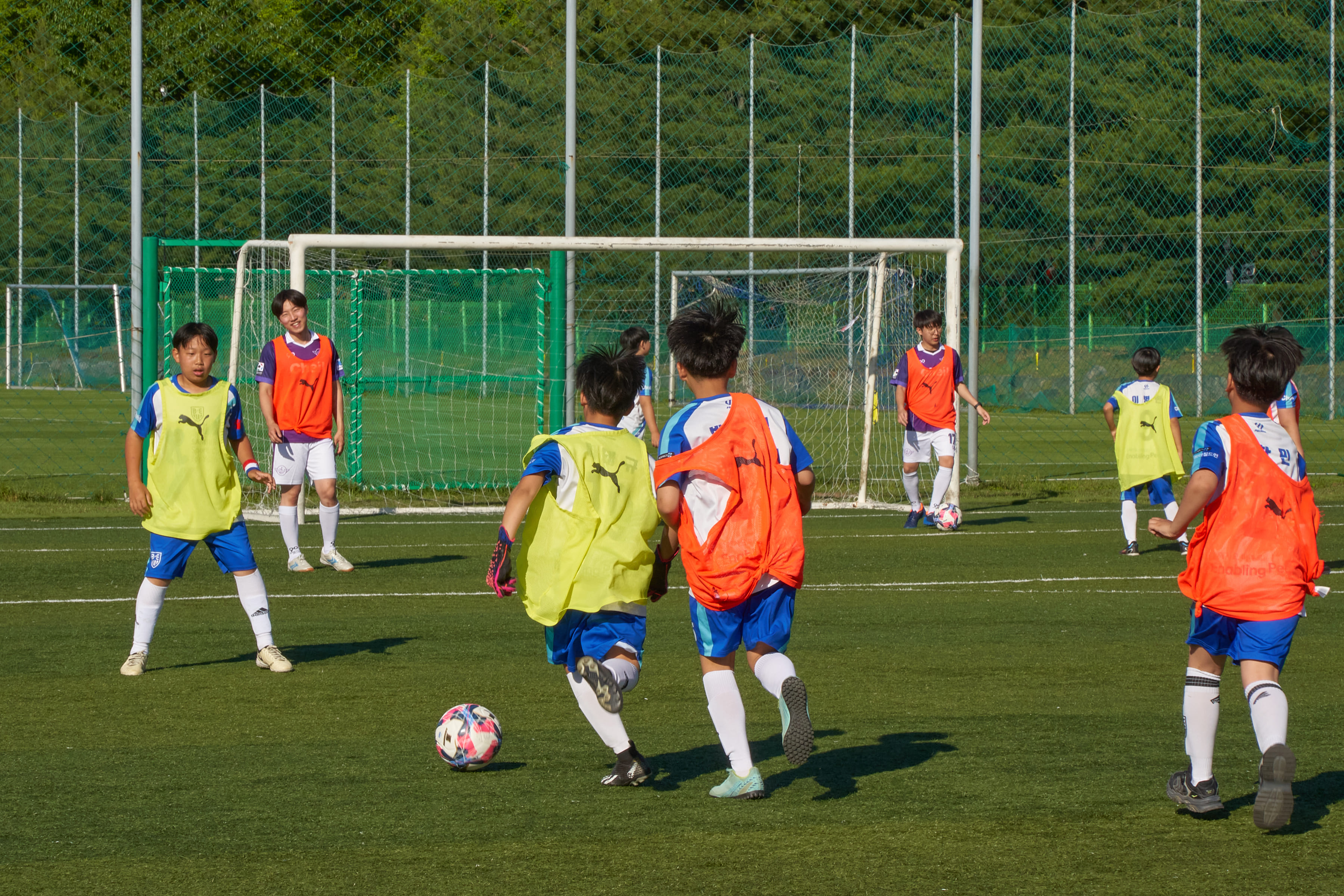 66743111bdeeb_1718890769.jpg